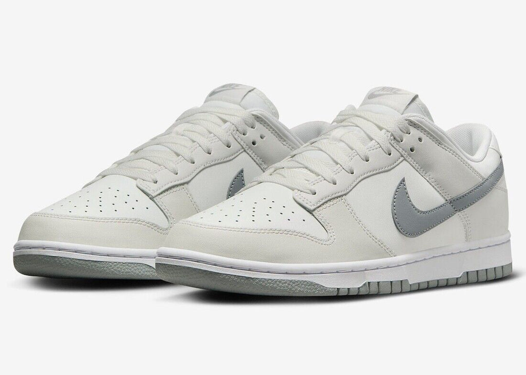 Men's Nike Dunk Low Retro 'Summit White Light Smoke Grey' DV0831 106