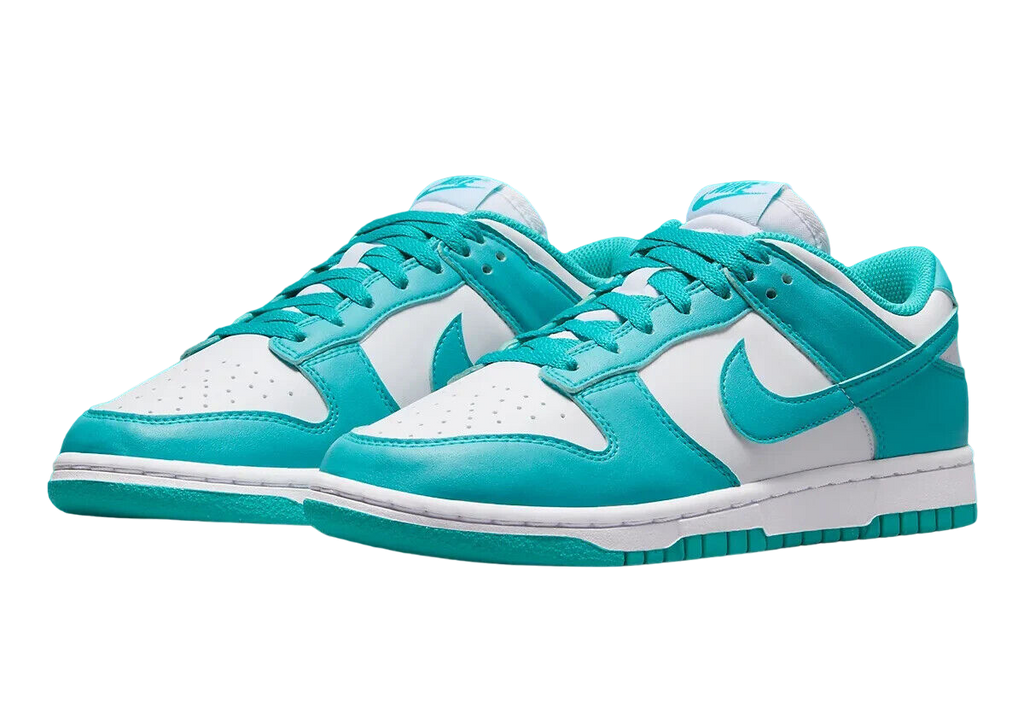 Women's Nike Dunk Low Next Nature 'Dusty Cactus' DD1873 105