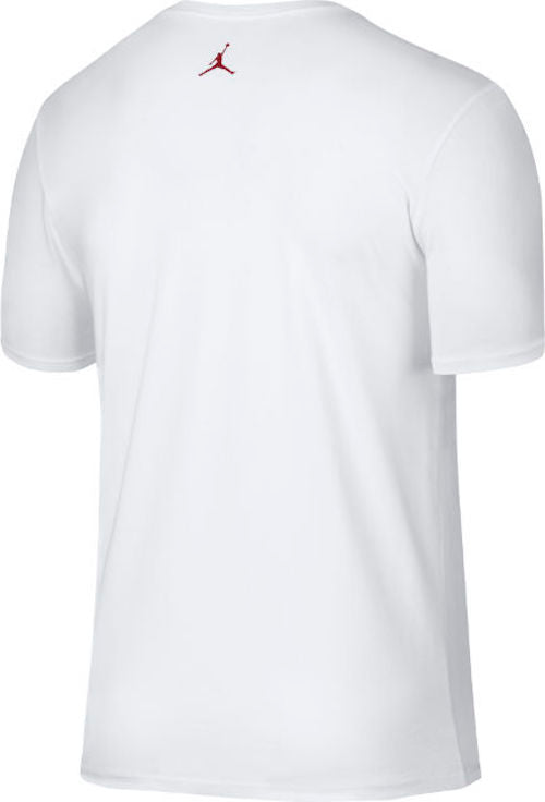 Men's Jordan T-Shirt AJ11 "Space Jam" Short Sleeve 845000 100