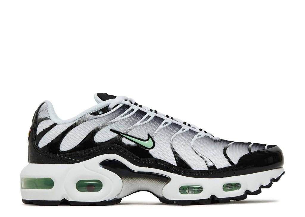 Grade School Youth Size Nike Air Max Plus 'White Reflect Silver' CD0609 106